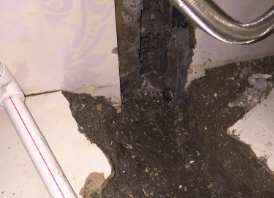 安国市卫生间测漏水哪家好