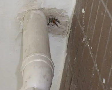 安国市漏水检测哪家好